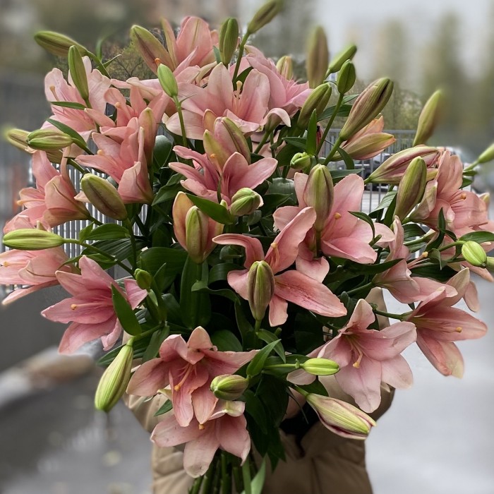 15 розовых лилий Азиатка